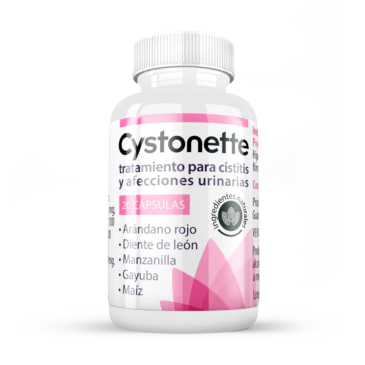 Cystonette
